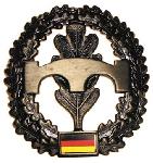 Insigna Bereta Pionieri