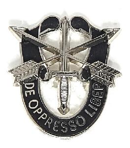Insigna Special Forces