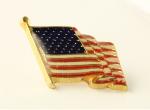 Insigna Steag USA