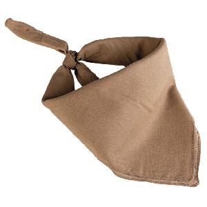 Bandana Coyote Patrata