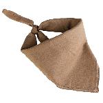 Bandana Coyote Patrata