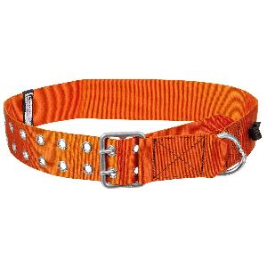 Centura Pompieri, RESCUE, Armata Elvetia, Noua