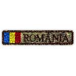 Ecuson Romania Combat Forte Terestre, cu Drapel