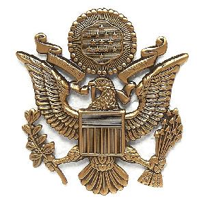 Insigna Bereta US Air Force, Aramie
