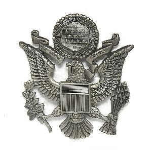 Insigna Bereta US Air Force, Argintie