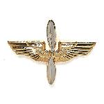 Insigna US Air Force Officer