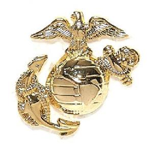Insigna USMC Mica