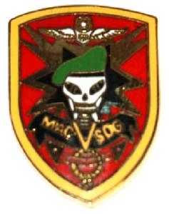 Insigna Vietnam
