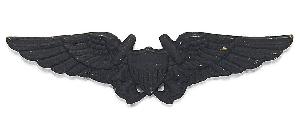 Insigna Wings