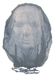 Plasa Protectie Tantari, Germania