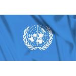 Steag ONU