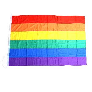Steag Rainbow Mare
